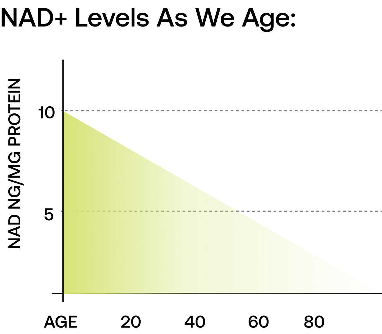 NAD+ Levels Graph