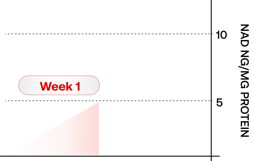 NAD Journey Image