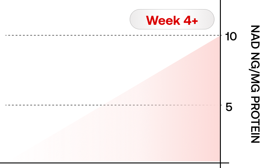 NAD Journey Image