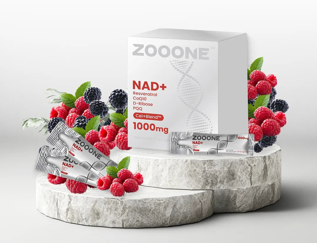 NAD Journey Image