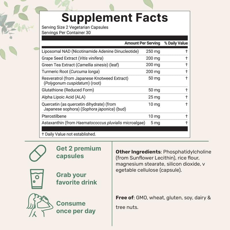 Liposomal NAD+ Capsules